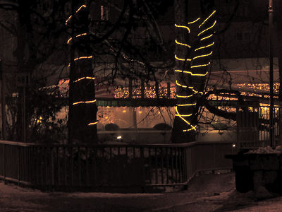 12veldener_advent_lichterbaeume2.jpg