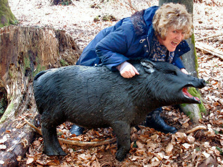 13_23maerz_widschwein2kl.jpg