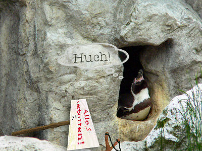 pinguin_blogwaechter09_2.jpg