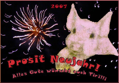 silvesterkarte07.jpg