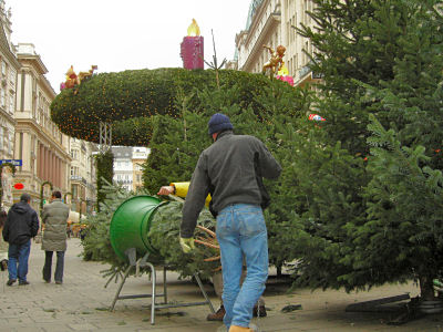 christbaumverk_wien.jpg