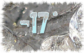 17grad_minus.jpg