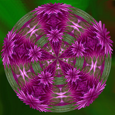 mandala_pink_kl.jpg