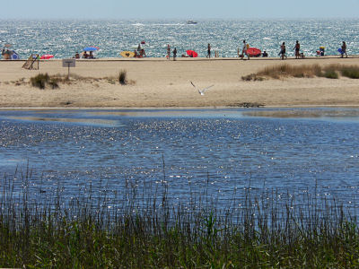strand_lagune400.jpg